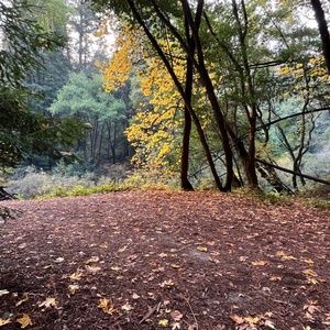 Meet your Posher, Cayt